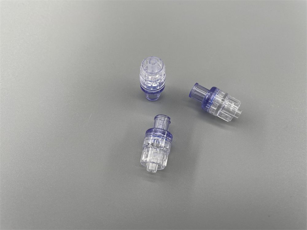 Back Check Valve