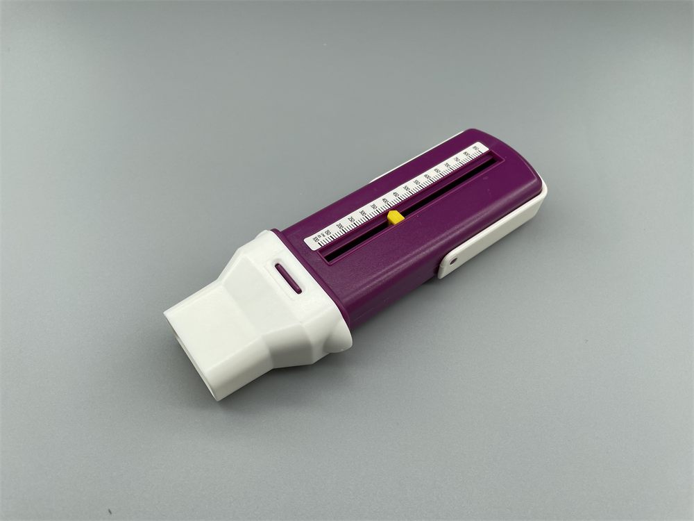 Peak flow meter