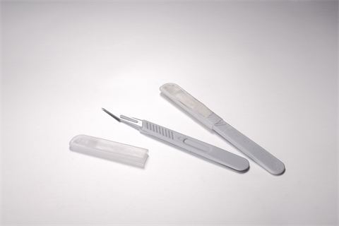 Disposable Scalpel