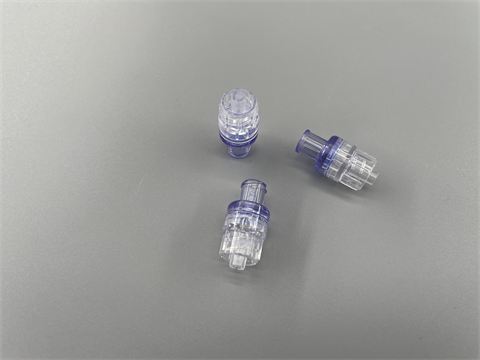 Back Check Valve