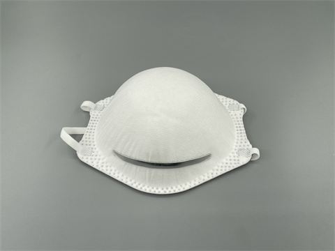 N95 Respirator