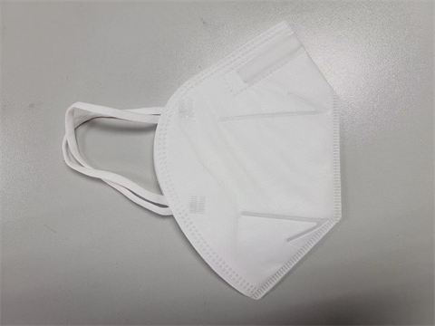 Folded Face Mask